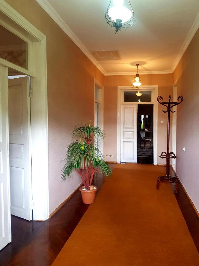 Guest House Adigeni エクステリア 写真
